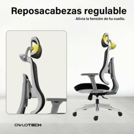 Silla de Oficina Owlotech Negro