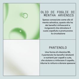 Laca Fijadora Nioxin 300 ml