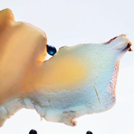 Bvlgari MAN GLACIAL ESSENCE Eau de Parfum Vaporizador para Hombre 60 ml