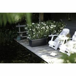 Elho Green Basics 60 Jardinera Exterior Negro Living XXL 59.2x29.5x27.7 cm Plástico 100% Reciclado Resistente a Heladas