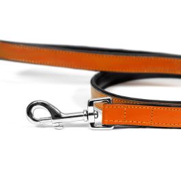 Gloria Correa Piel Auténtica Acolchada para Perro 100 cm x 18 mm, Suave, Mosquetón Robusto Retráctil, 3 Capas, Cosido Reforzado