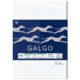 Recambio Galgo A4 100H 100Gr 4 Taladros Cuadric.5X5 C/Margen (5 Colores En Banda) Precio: 3.99000041. SKU: B1AFRBKG6M