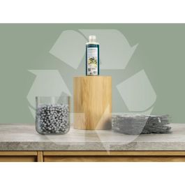 Detergente Electrolux E2WASF00 300 ml