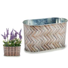 Macetero Metal Ovalado Alto Peq Mimbre Surtidos Ibergarden 11X12CM (24 Unidades) Precio: 43.49999973. SKU: B1GDKLL89S