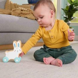Fisher Price Matjdm52 Conejo de Madera para Empujar