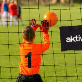 Portería de Fútbol Aktive