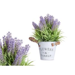 Planta Lavanda Bote Metal 25Cm Ibergarden (12 Unidades) Precio: 46.49999992. SKU: B1AGX6Z2VJ