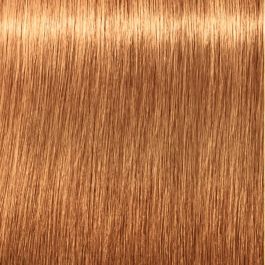 Schwarzkopf IGORA ROYAL ABSOLUTES #9-60 Tinte Pelo Rubio Clarísimo 60ml