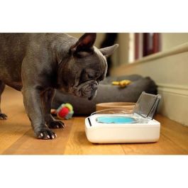 SUREFLAP Dispensador automático de alimentos - recipiente hermético SureFeed - para gatos y perros pequeños SUREFLAP Dispensador automático de alimentos - recipiente hermético SureFeed - para gatos y perros pequeños