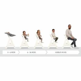 Hauck HAU1715730458756 Trona BETA+ Evolutiva Madera FSC De 6 meses a 90 kg con Arnés de 5 puntos y Ruedas, Blanqueada