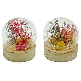 DKD Home Decor Decoración Shabby Multicolor Cristal y Flor Seca 11 x 13 x 11 cm (6 Unidades) Precio: 41.89000035. SKU: B1B57YW8MS