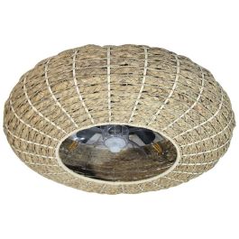 Ventilador de Techo con Luz Cecotec EnergySilence LampAero 650 20 W 70 W Ventilador de Techo con Luz Cecotec EnergySilence LampAero 650 20 W 70 W Precio: 151.99822044. SKU: B183HQN38V
