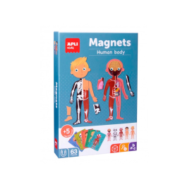 Apli Kids Juego Magnético El Cuerpo Humano 18531 Educativo con 63 Imanes y Escenario Extraíble para Aprender Anatomía +5 Años Precio: 16.89000038. SKU: B18DN2G3LT