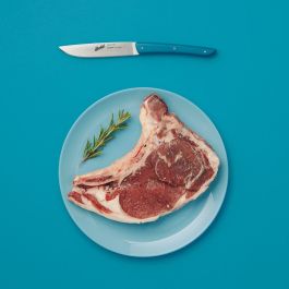 Berkel Steakmesser-Set 4 piezas, Cuchillos de Carne, Color Blu Petrolio