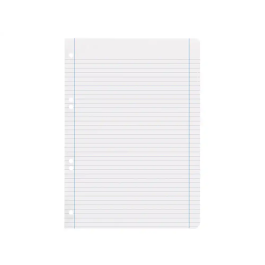 Liderpapel Recambio A5 100 Hojas 100gr Horizontal Doble Margen 6 Taladros