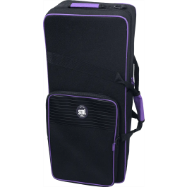 SML Saxofón Alto A420-II Dorado Lacado