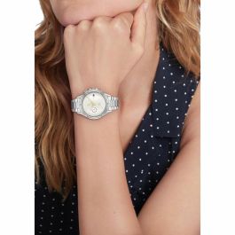 Reloj Mujer Tommy Hilfiger 1782502 Plateado (Ø 38 mm) Reloj Mujer Tommy Hilfiger 1782502 Plateado (Ø 38 mm)