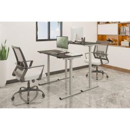 Digitus Bastidor de Mesa Eléctrico de Altura Regulable, Motor Individual, 2 Etapas, 70 kg, 2 Patas, Gris