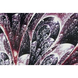 DKD Home Decor Cuadro Blanco Granate 3 x 80 x 80 cm (2 Unidades)