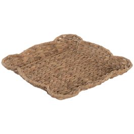 DKD Home Decor Centro Mesa Jacinto de Agua y Metal Natural 35x35x5 cm (6 Unidades) Precio: 55.1881. SKU: B14QQJ3442