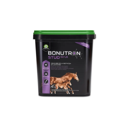 Audevard Bonutron Stud G1-L6 Suplemento para Yeguas Gestantes y Lactantes 3 kg Precio: 89.4999996. SKU: B17ZK4FLX2