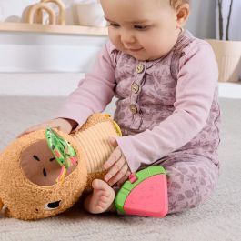 Peluche Capibara Estímulos Y Juego Hyr54 Fisher Price