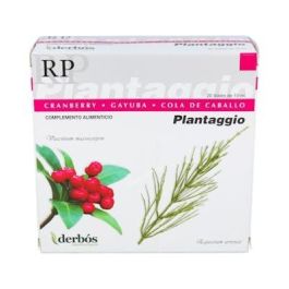 Plantaggio Rp Precio: 22.9499996. SKU: B1F9WPJ6WS