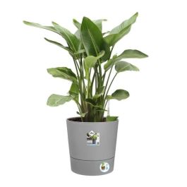 ELHO - Maceta - Greensense Aqua Care Round 43 - Cemento claro - Interior/exterior - Ø 43 x H 42,5 cm ELHO - Maceta - Greensense Aqua Care Round 43 - Cemento claro - Interior/exterior - Ø 43 x H 42,5 cm