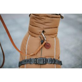 Ropa para mascotas Hunter PAXSON Marrón Poliéster