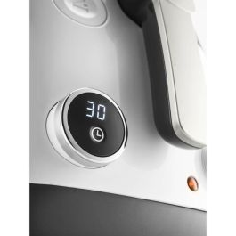 Delonghi DEL8004399252912 Freidora FS6067 - 2.4 L - 1700 W - Gris/Negro