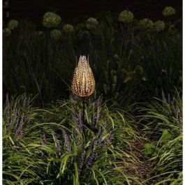 Garden Id 70706548 Terminal Solar Fougere 16 x 46 cm con Iluminación 6-8 Horas, Batería AAA Recargable y Botón On/Off