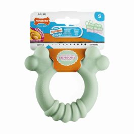 Mordedor de perro Nylabone SENSORY TACTILE RING Verde Manteca de cacahuete Pollo S Precio: 12.50000059. SKU: B1469TGRFE