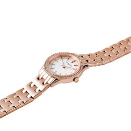Reloj Mujer Pierre Cardin CF.0611.SC.RG (Ø 30 mm)