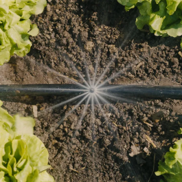 Gardena Kit de iniciación para huertos de hasta 60 m² - 13450-20