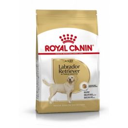 Royal Canin Alimento Completo para Perro Labrador Retriever Adulto 12 kg Precio: 79.5899995. SKU: B1B6AVMSAD