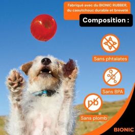 Bionic BIO0022517978054 Pelota Juguete para perros de caucho ultra resistente, mediano 6,7 cm, libre de plomo, BPA, ftalatos