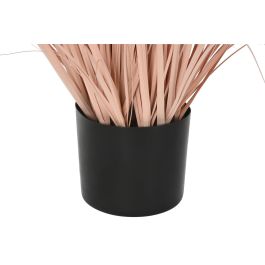 DKD Home Decor Planta Coral Negro 45 x 150 x 45 cm (2 Unidades)