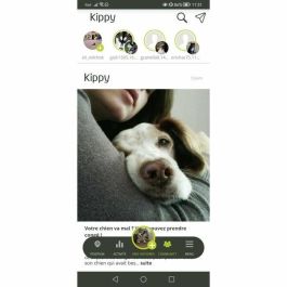 Kippy KIP8058669290654 Localizador GPS EVO, Amarillo Limón