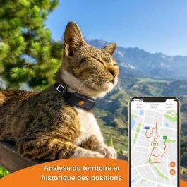 GPS Tracker for Chat - Weenect XS (Black Edition 2023)