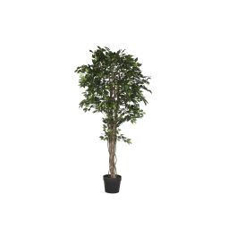 DKD Home Decor Arbol Artificial Ficus Decorativo Verde Marron, 210 cm Alto, Base 100x100 cm, Materiales PE y Madera, Pack 2 Unidades Precio: 215.50000054. SKU: B169XFDMNW