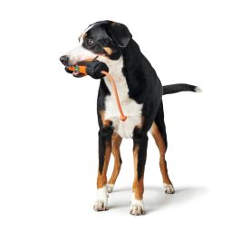 Hunter Portasnacks Entrenamiento Con Cuerda Naranja-Negro 20cm Polyester