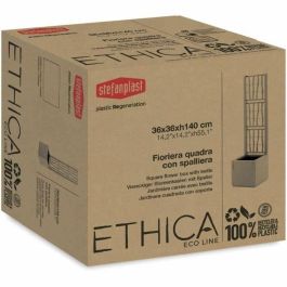 Stefanplast STE8003507688001 Jardinera Ethica Tiza Cuadrada con Enrejado 38 L
