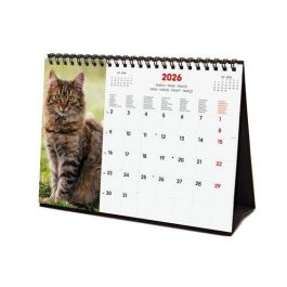 Calendario (2026) Finocam Internacional Sobremesa Imagenes Mensual Para Escribir S 210X150 Cats Precio: 5.89999993. SKU: B134GYMW4H