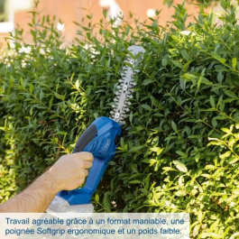 Scheppach Cortadora de Césped y Cortasetos Inalámbrica C-HTGS200-X, Set S 2 en 1 con Batería IXES 20V 2Ah y Cargador