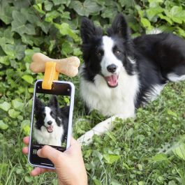 Clip de Selfies para Mascotas Pefie InnovaGoods Clip de Selfies para Mascotas Pefie InnovaGoods