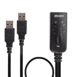 Lindy 2 Port USB Keyboard and Mouse Switch - Controla 2 Ordenadores con un Solo Teclado y Ratón - Emulación True Transparent USB