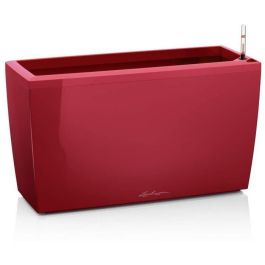 Macetero LECHUZA Cararo Premium - juego completo, rojo escarlata brillante Precio: 139.79000046. SKU: B1DHMWE8SN