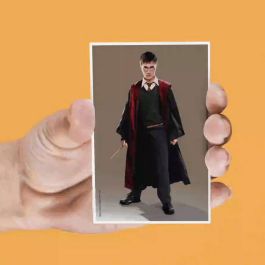 SD Toys Set de 4 imanes lenticulares surtidos Harry Potter