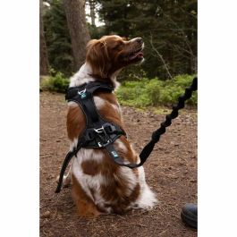 Cani C Gear AUC3760402170363 Arnés para perros SYMBIOZ XXS Negro / Azul Cani C Gear AUC3760402170363 Arnés para perros SYMBIOZ XXS Negro / Azul