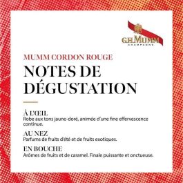 Champagne brut 37,5 cl GH Mumm